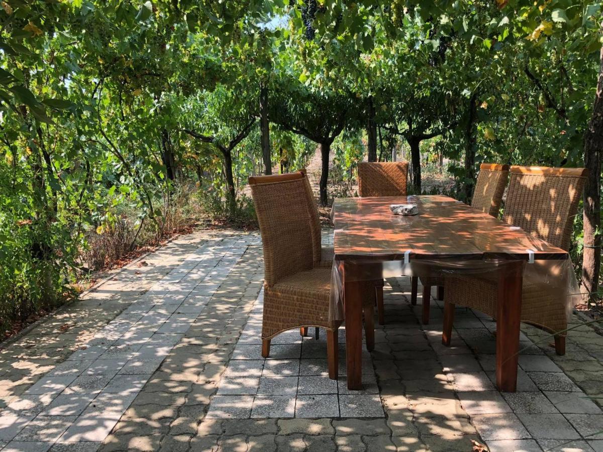 Szendergo - Apartman Hajos Pincefalu Zewnętrze zdjęcie